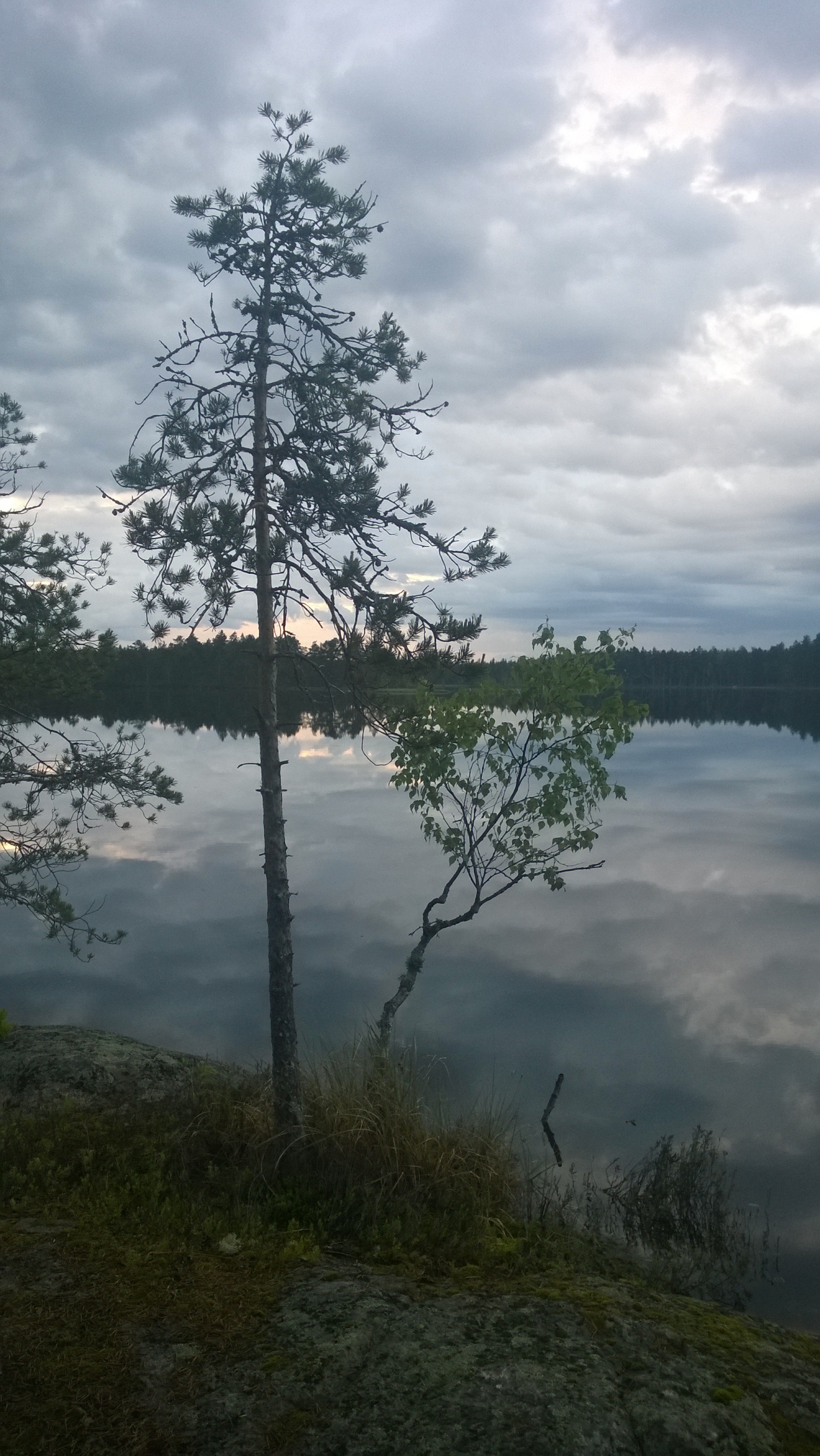 kalaleiri3