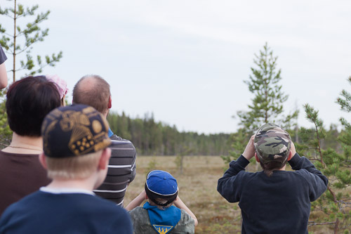 Lintubongausta luonnontarkkailulavalla
